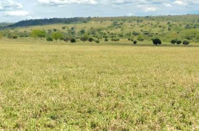 70 Acres in Kitengela, Acacia